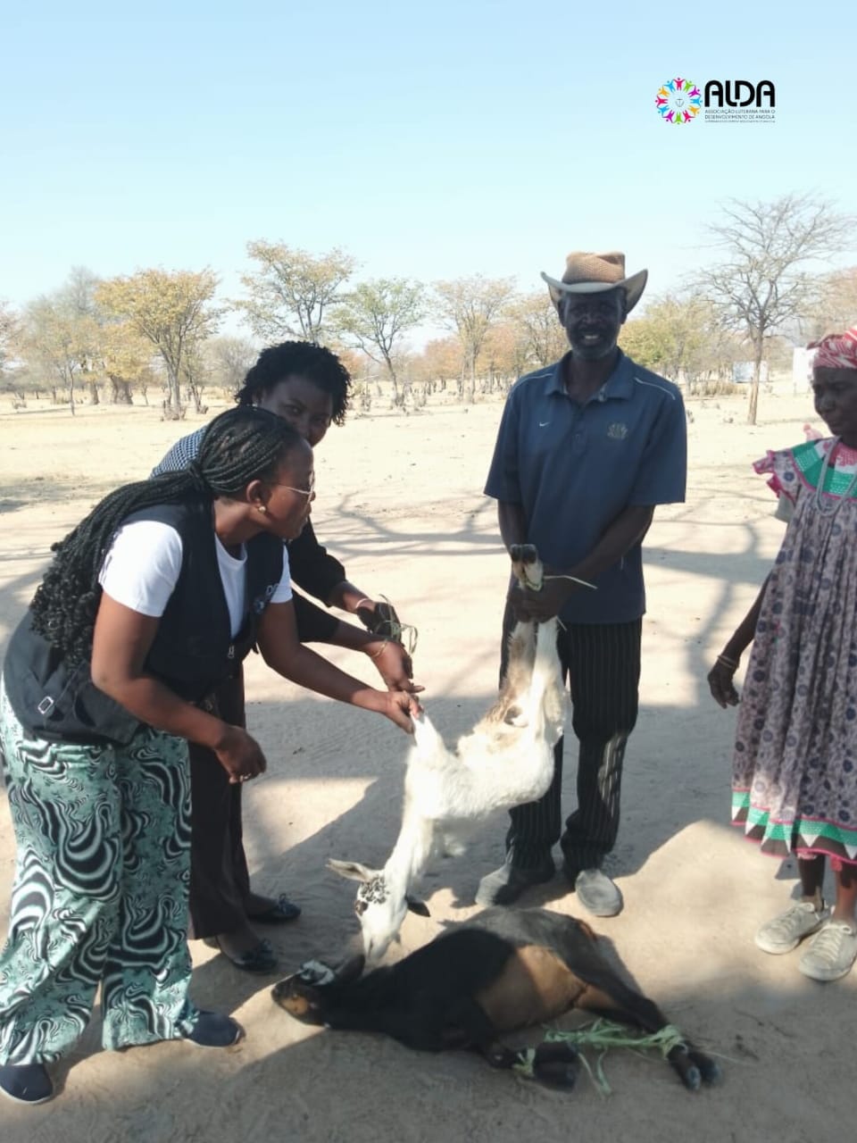 Programa de Pecuária reforça segurança alimentar e cria novas fontes de rendimento no Cunene
