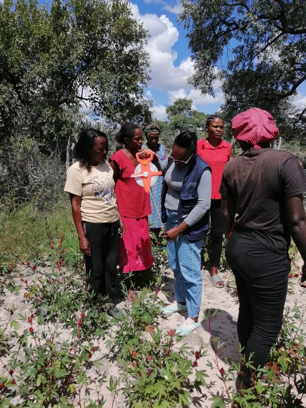 ALDA reforça capacidade dos agricultores do grupo agrícola Mata fome em Análise do Sistema Agro-Ecológico