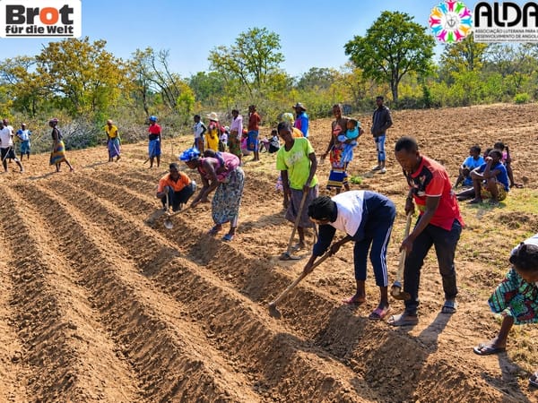 ALDA PROMOVE EXPERIMENTAÇÃO AGRÍCOLA PARA MELHORAR A PRODUÇÃO DE PIMENTO EM TCHIMDUDUMA