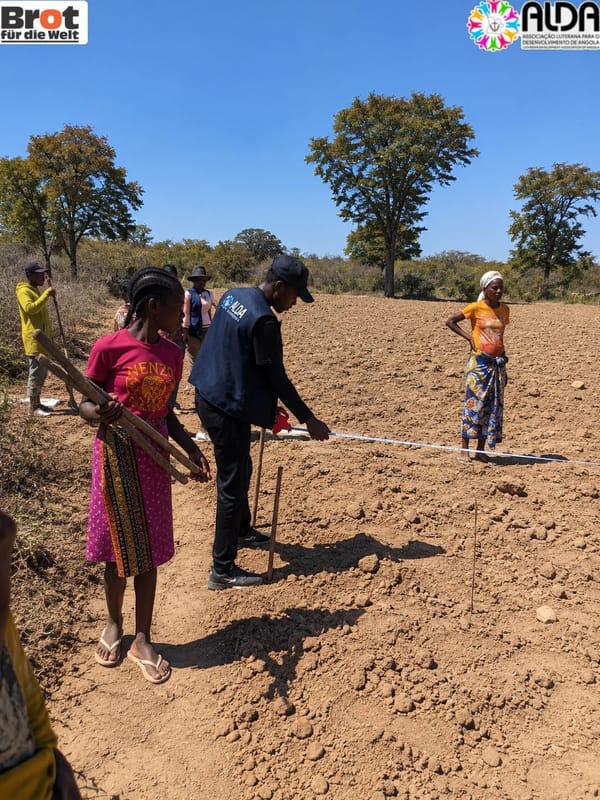 ALDA reforça capacidades dos agricultores da ECA Tchimduduma em prática de instalação de parcelas de GPP e PL