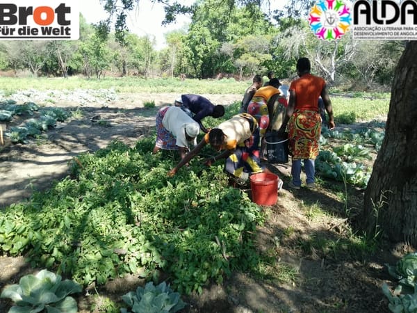 De uma realidade marcada pela seca a novas oportunidades: agricultores de Tchikusse preparam-se para colher os frutos da resiliência