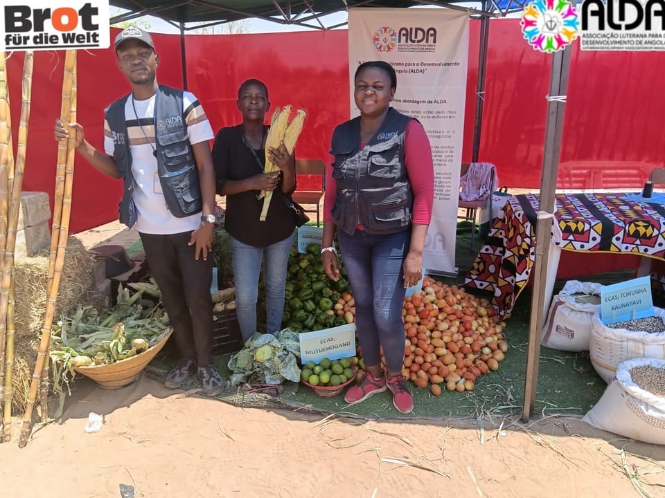 ECA NANKALANDJA KAPUMO COMERCIALIZA TODA A PRODUÇÃO NA ABERTURA NACIONAL DO ANO AGRÍCOLA